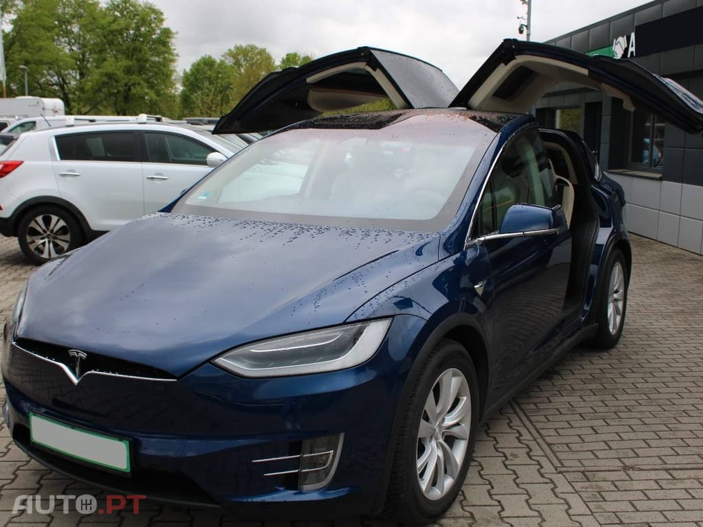 Tesla Model X Dual