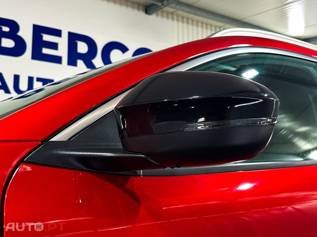 Renault Scénic 220 Long Range Technno