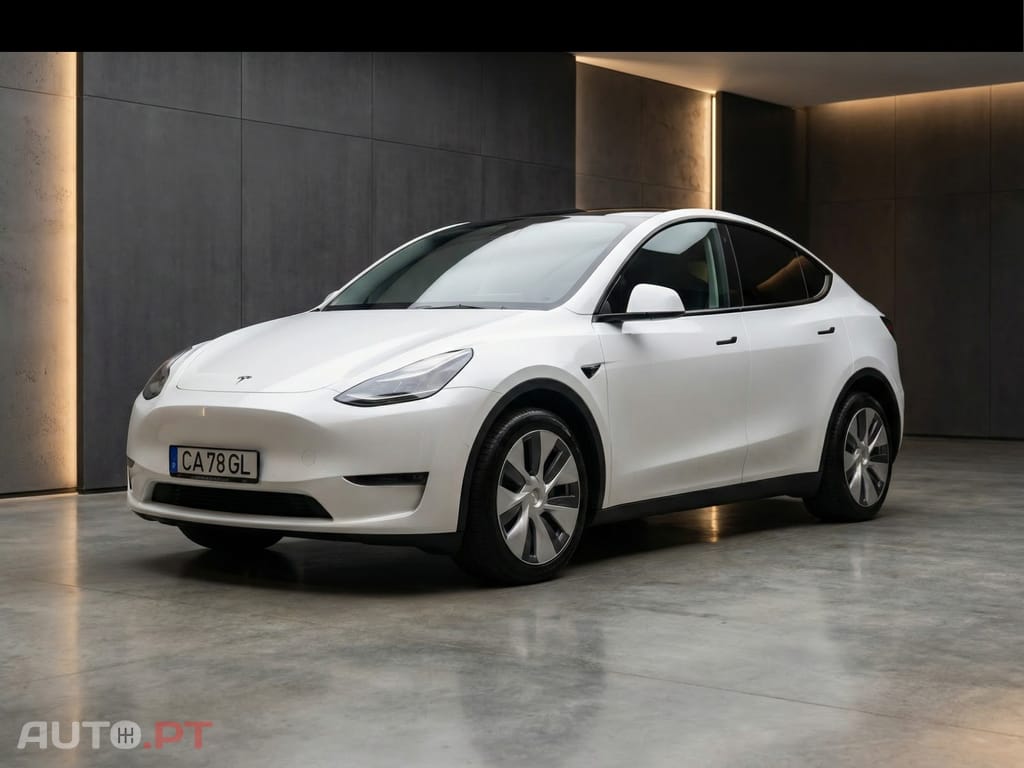 Tesla Model Y Standard
