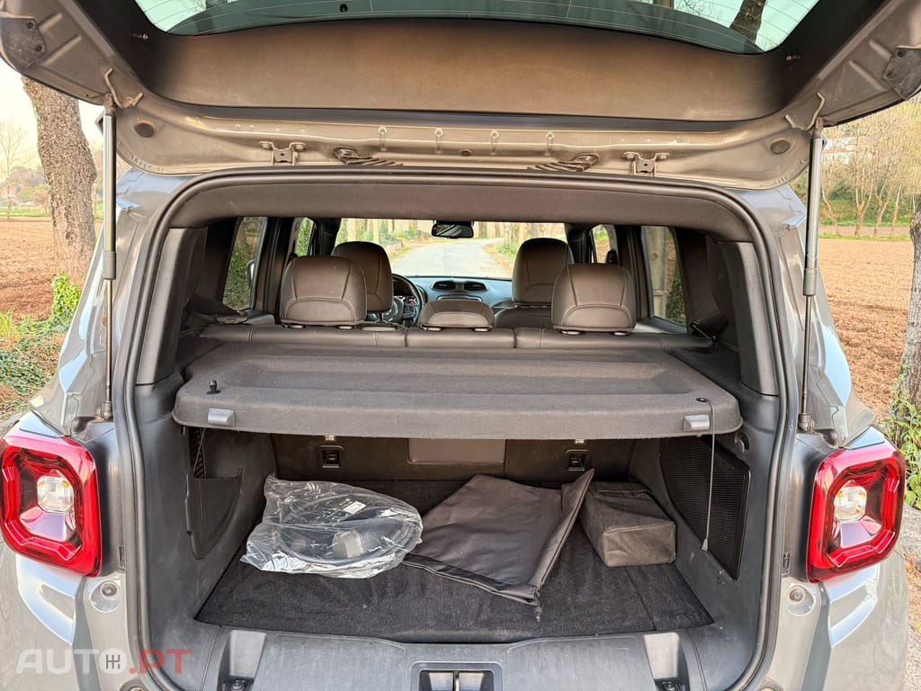 Jeep Renegade 1.3 TG 4Xe S