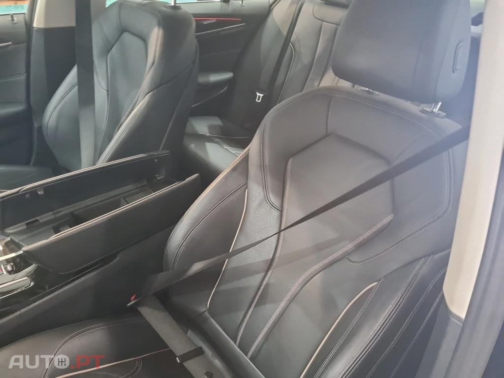 BMW 530 e Line Luxury