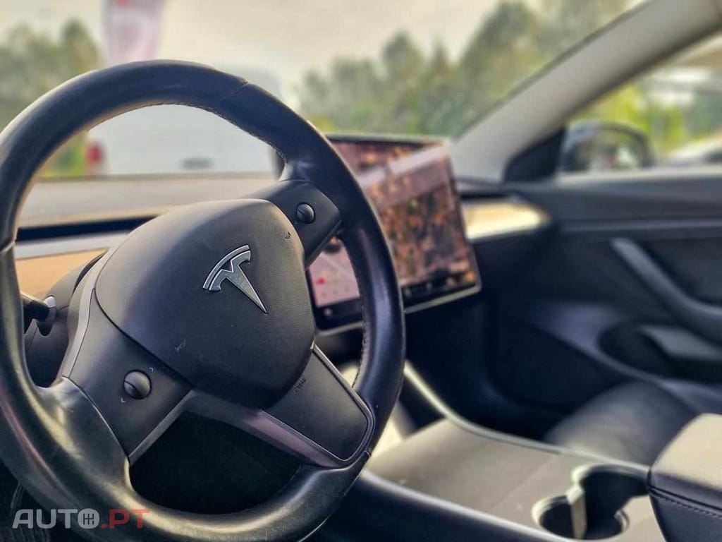 Tesla Model 3 PERFORMANCE