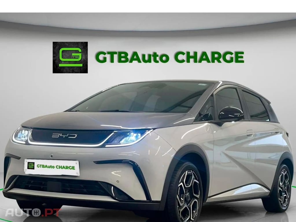 BYD Dolphin Design 