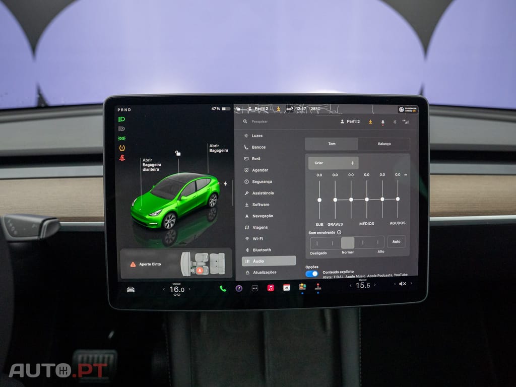 Tesla Model Y Long Range Tração Integral