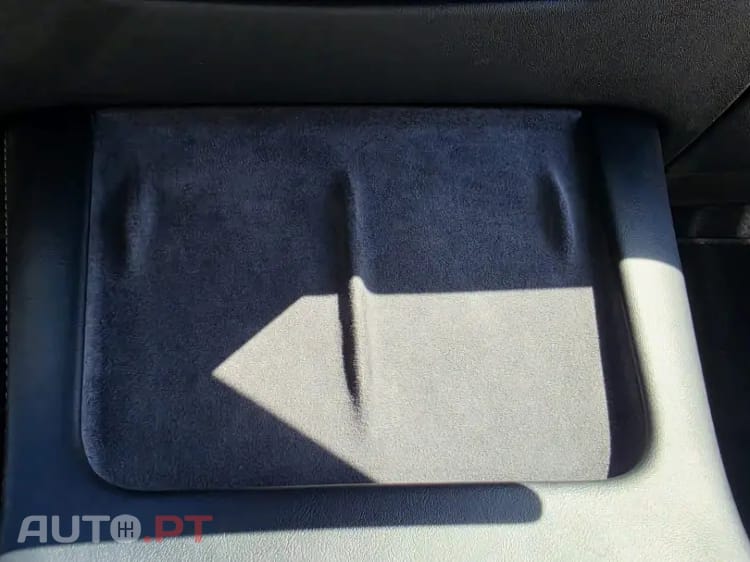 Tesla Model Y Long Range Tração Traseira Premium