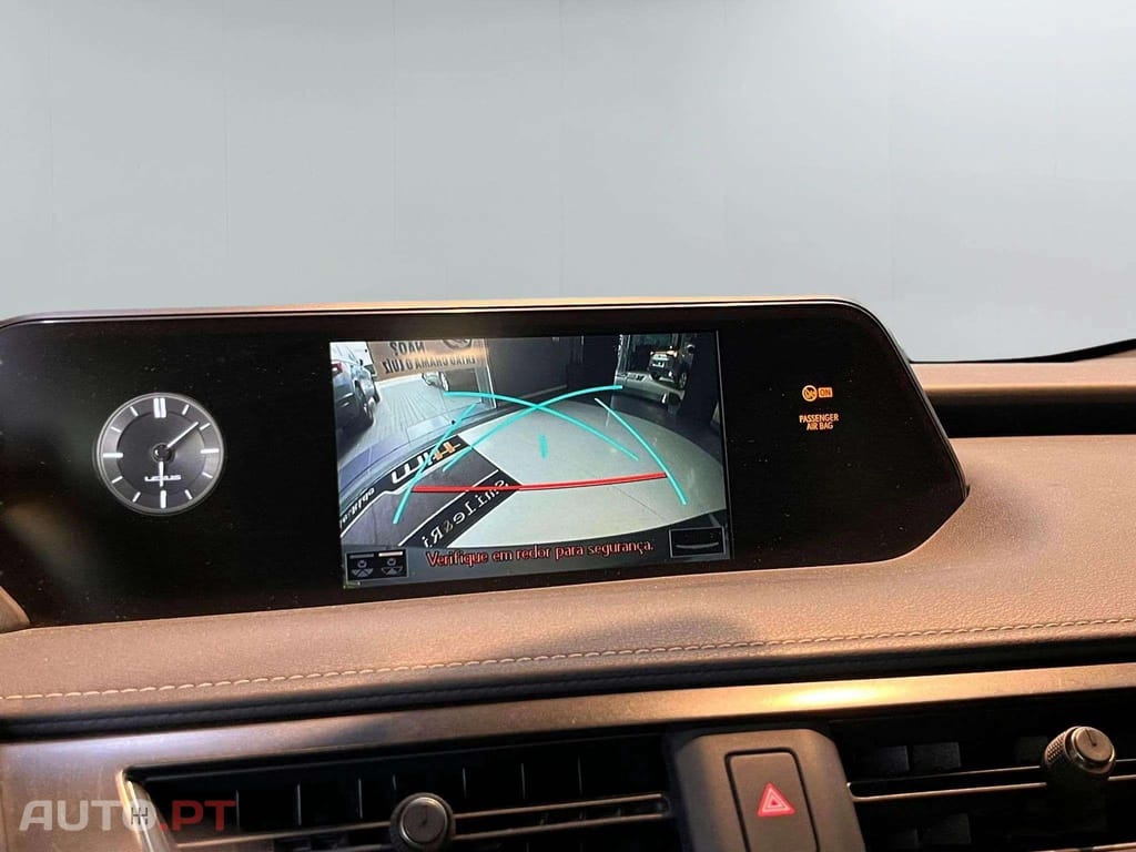 Lexus UX Business