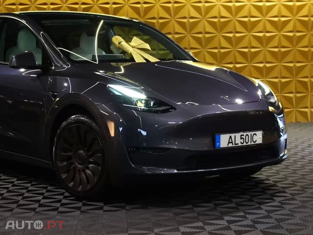 Tesla Model Y Long Range Tração Integral