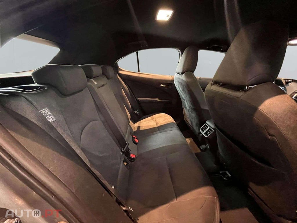 Lexus UX Business