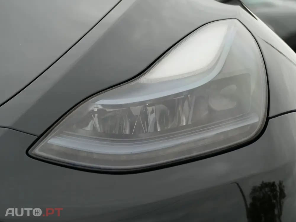 Tesla Model Y Standard