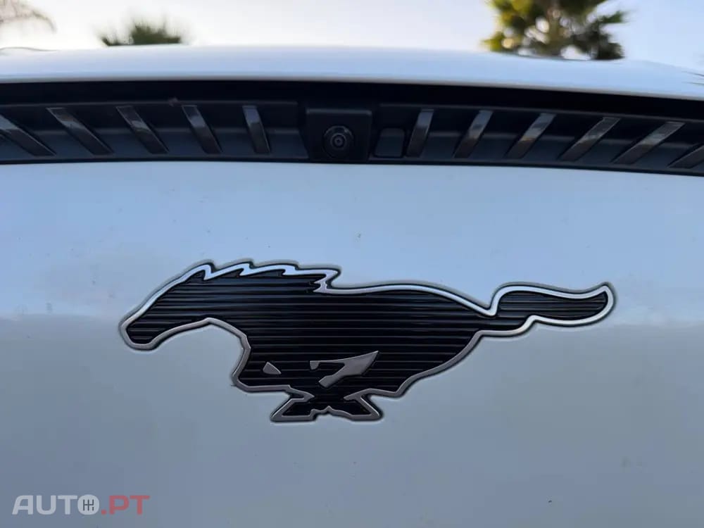 Ford Mustang Mach-E Standard