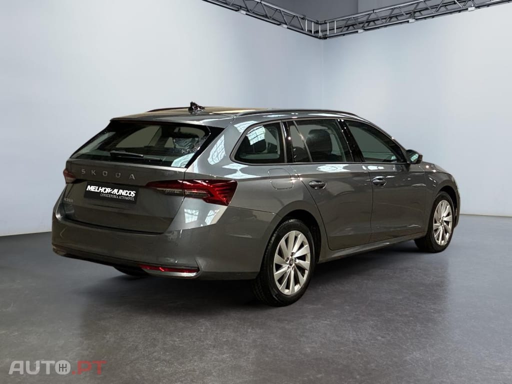 Skoda Octavia Break 2.0 TDI Selection DSG