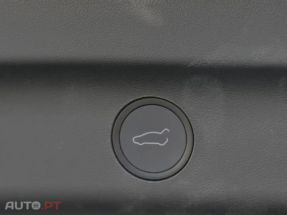 Tesla Model Y Standard
