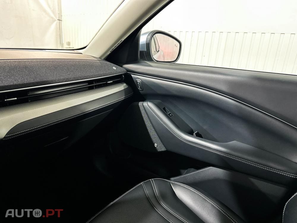 Ford Mustang Mach-E Standard