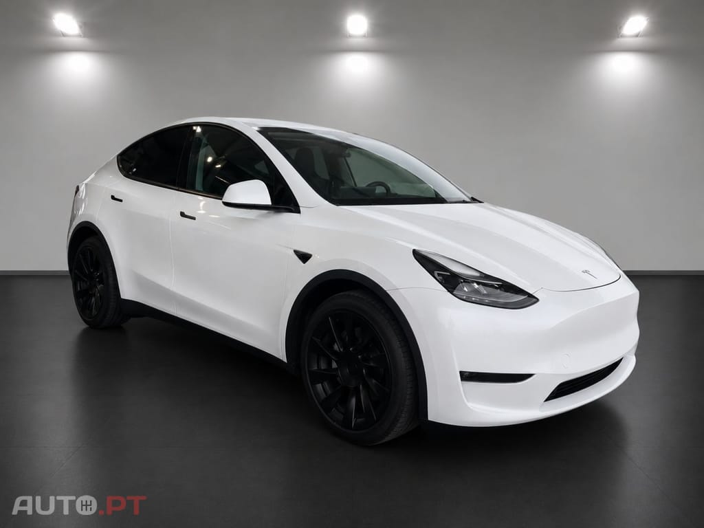 Tesla Model Y Long Range Dual Motor AWD