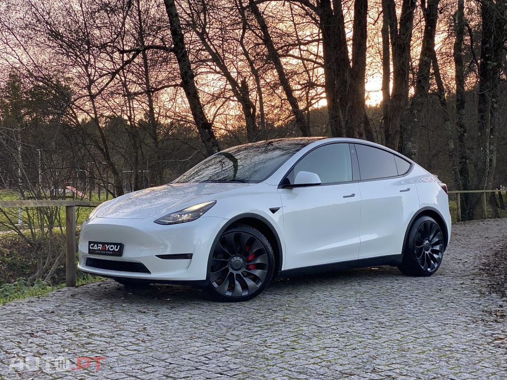 Tesla Model Y PERFORMANCE DUAL MOTOR AWD