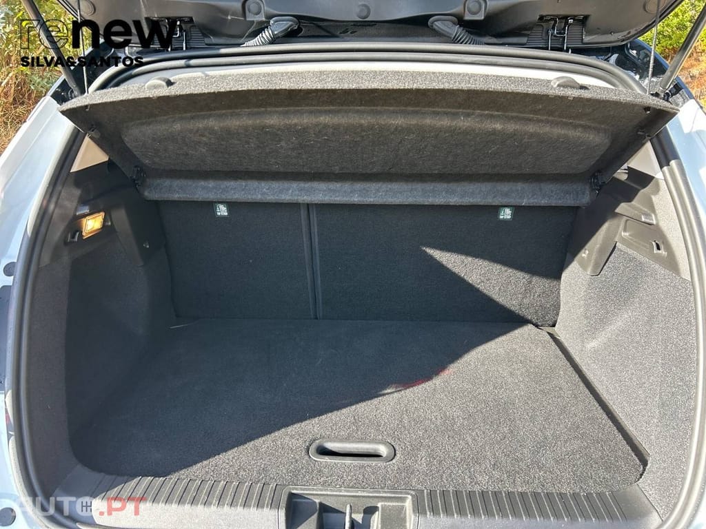 Renault Captur Captur Techno Bi-Fuel 100