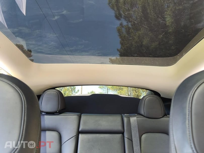 Tesla Model Y RWD