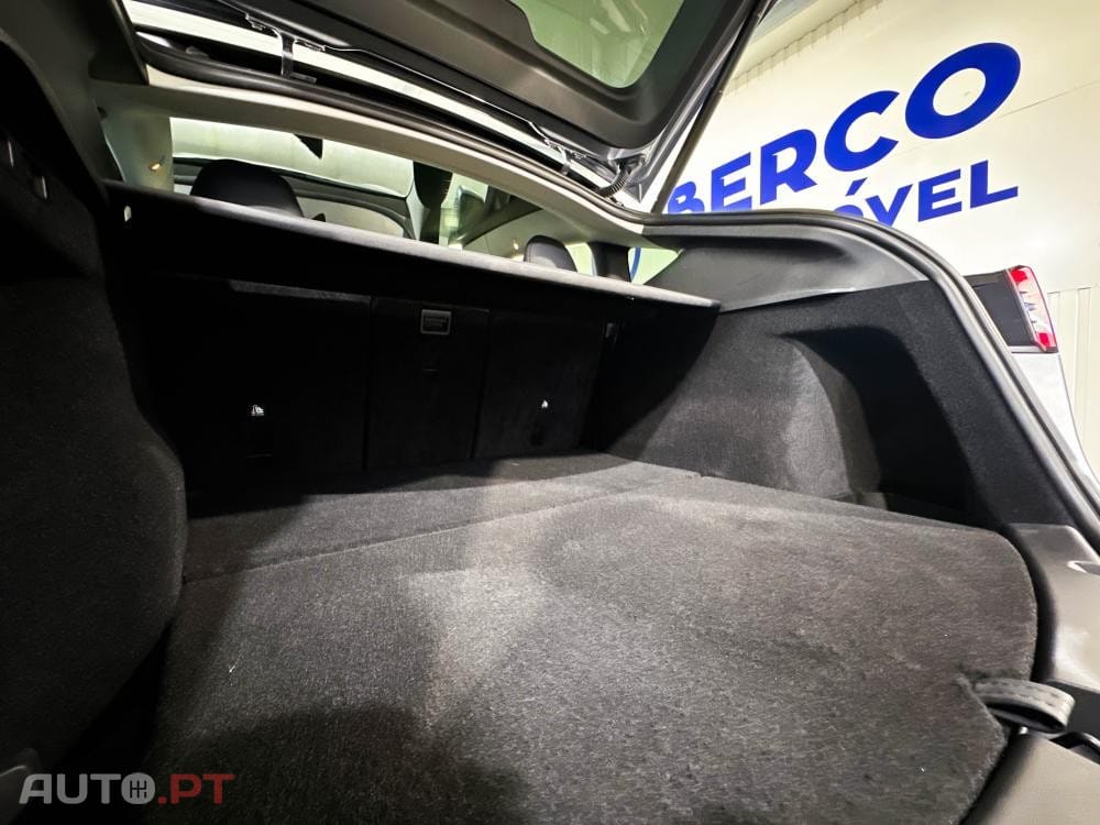 Tesla Model Y Performance Dual Motor AWD