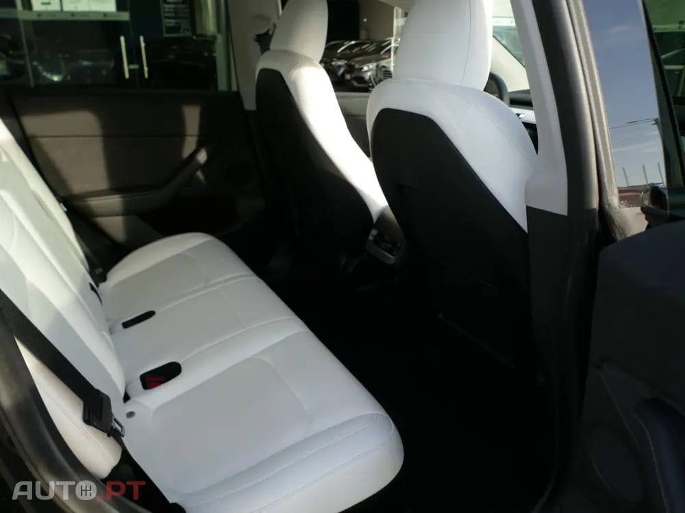Tesla Model Y Standard
