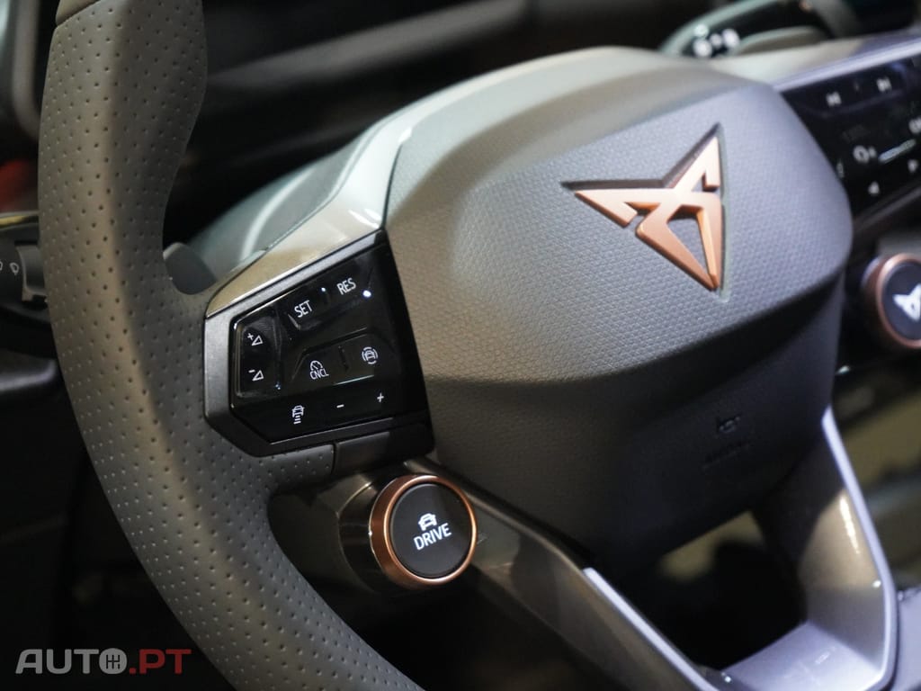 Cupra Tavascan 77 kWh Endurance