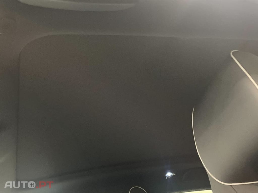BYD Dolphin Design 