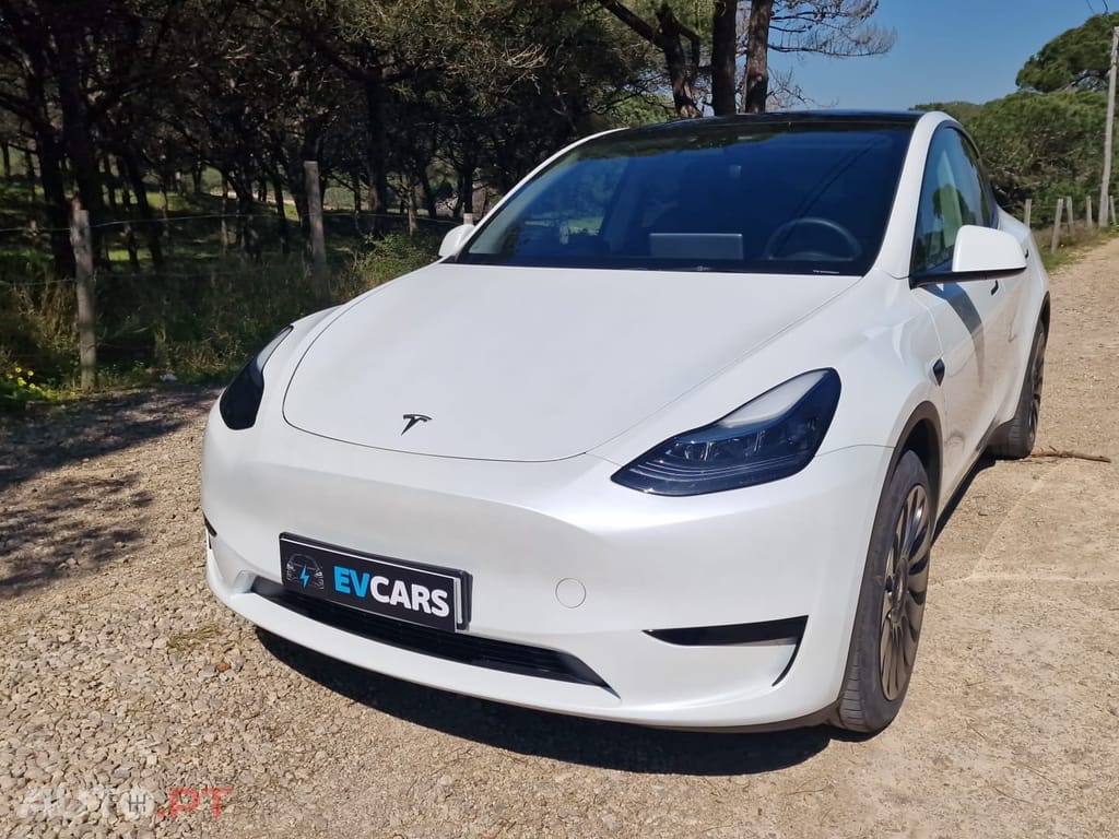 Tesla Model Y RWD