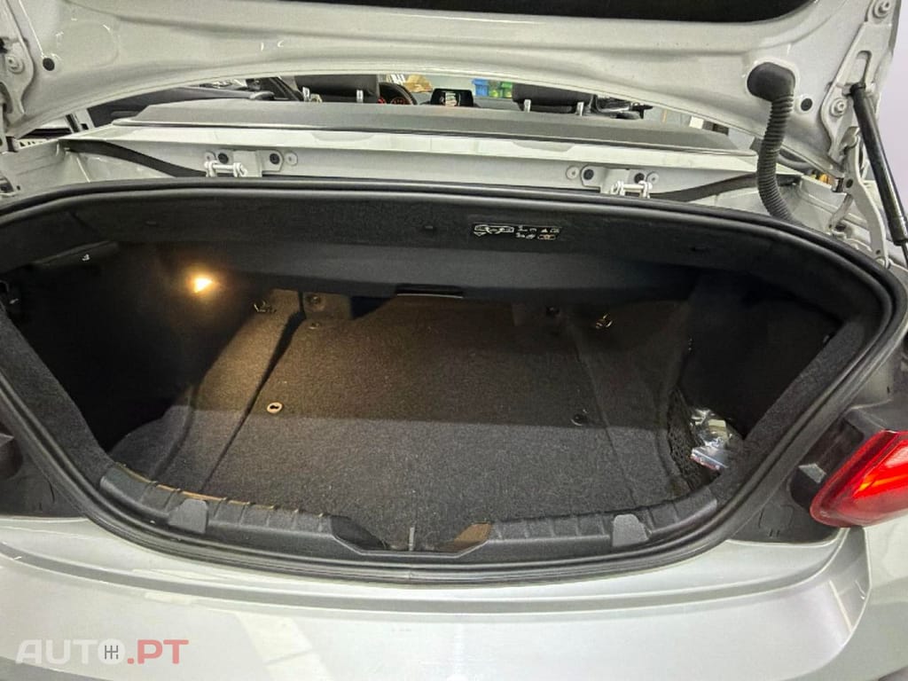 BMW 218 i Cabrio Line Sport