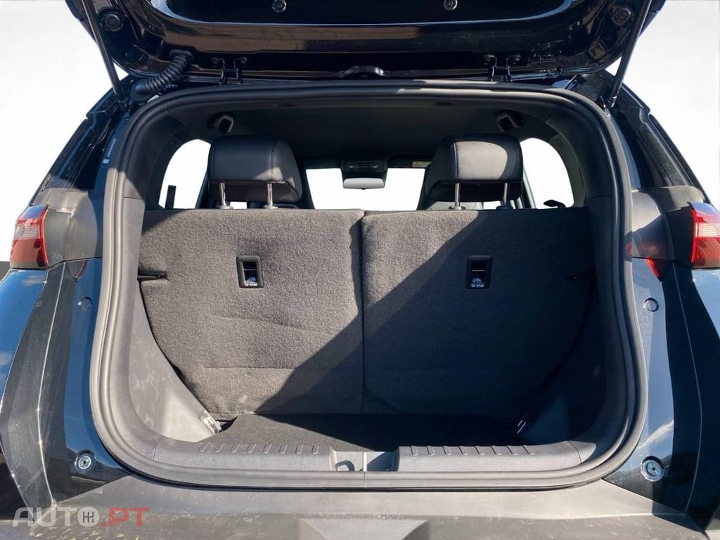 BYD Dolphin Surf Boost