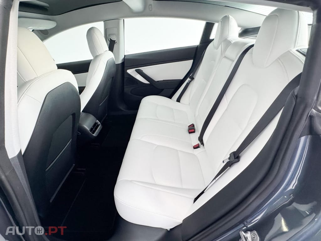 Tesla Model 3 RWD PLUS AUTO