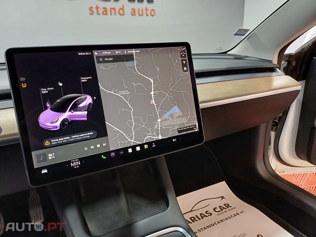 Tesla Model 3 Standard Plus
