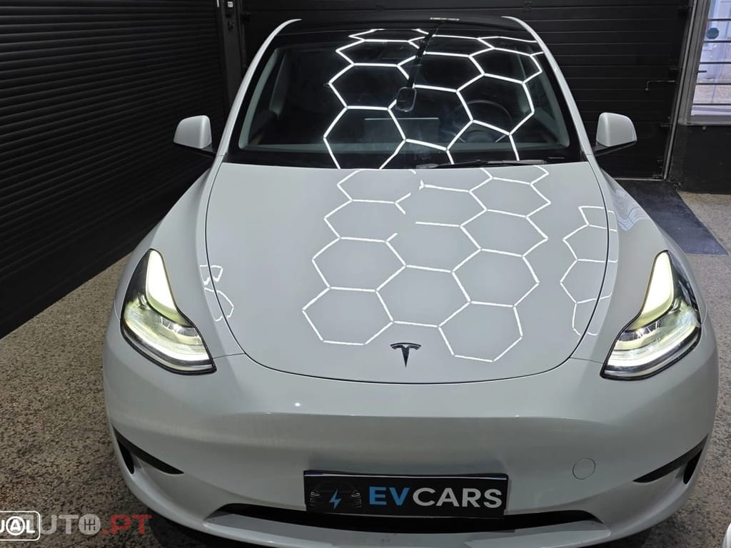 Tesla Model Y Standard