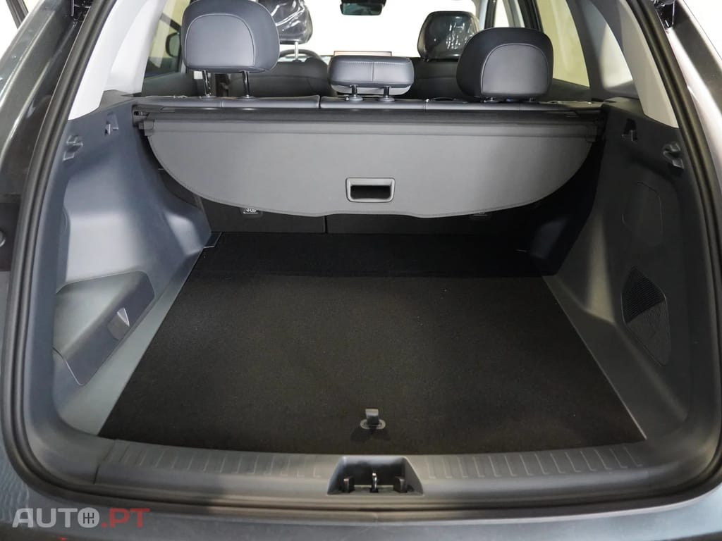 Geely Starray EM-i Max Plus