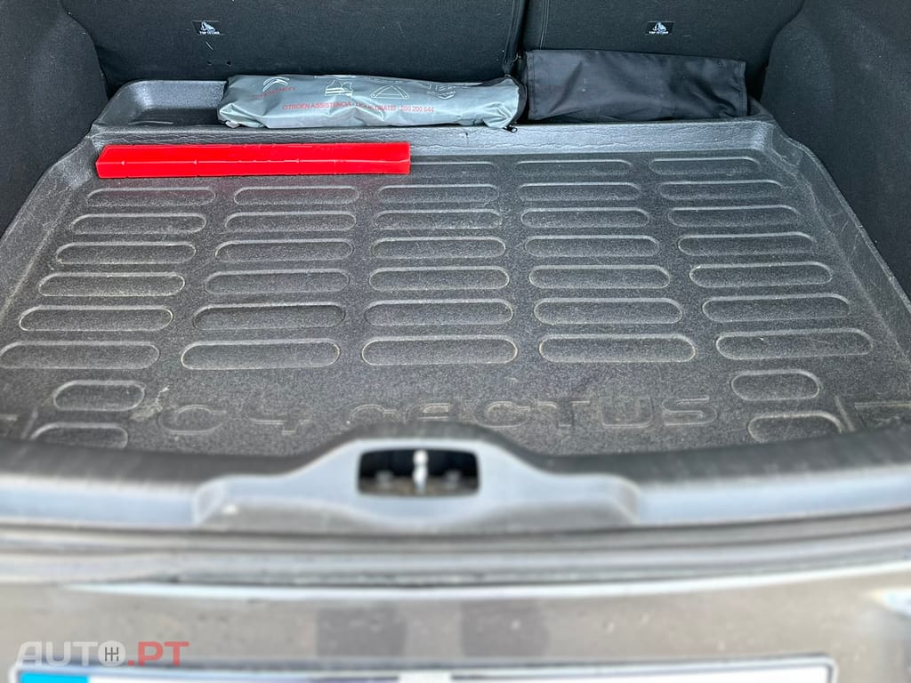 Citroen C4 Cactus 1.6 BlueHDI Shine 100cv