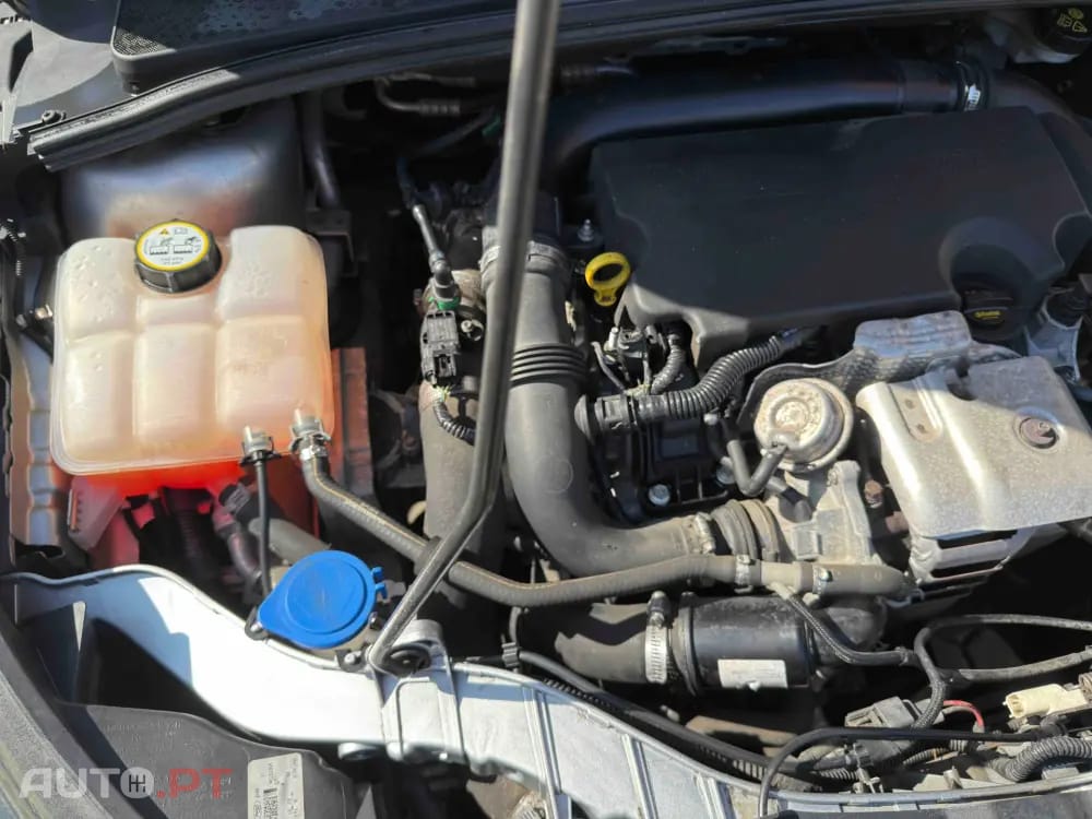 Ford Focus 1.0 SCTi Trend