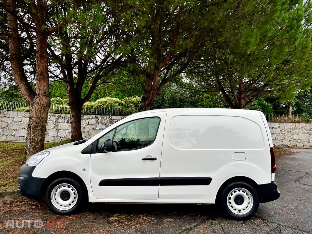 Citroen Berlingo 1600 - HDI