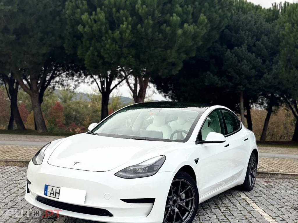Tesla Model 3 Standard Plus