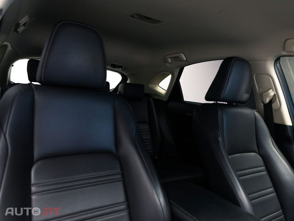 Lexus NX Executive