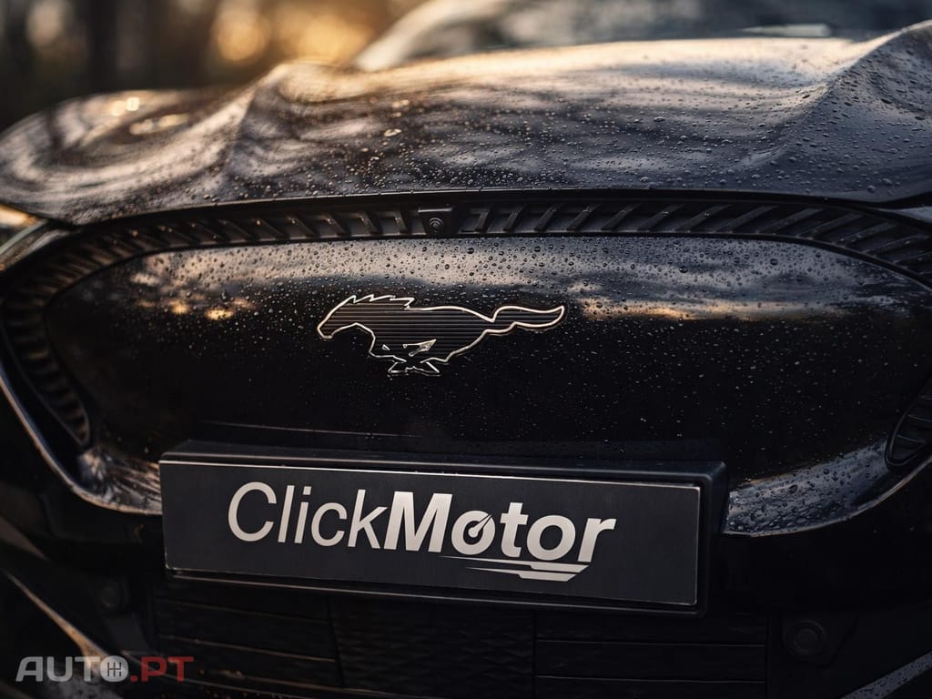 Ford Mustang Mach-E Standard