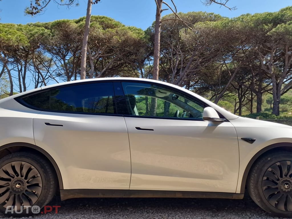 Tesla Model Y RWD