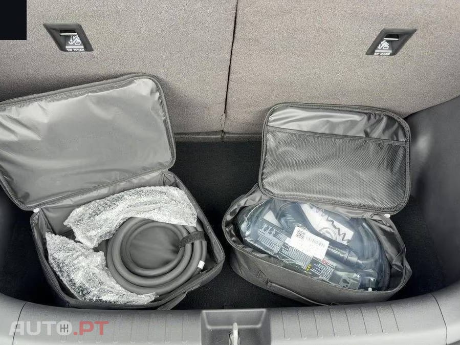 BYD Dolphin Surf Active