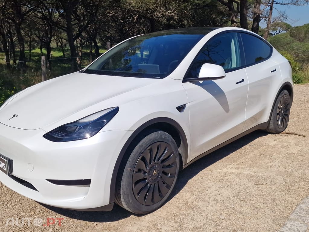 Tesla Model Y RWD