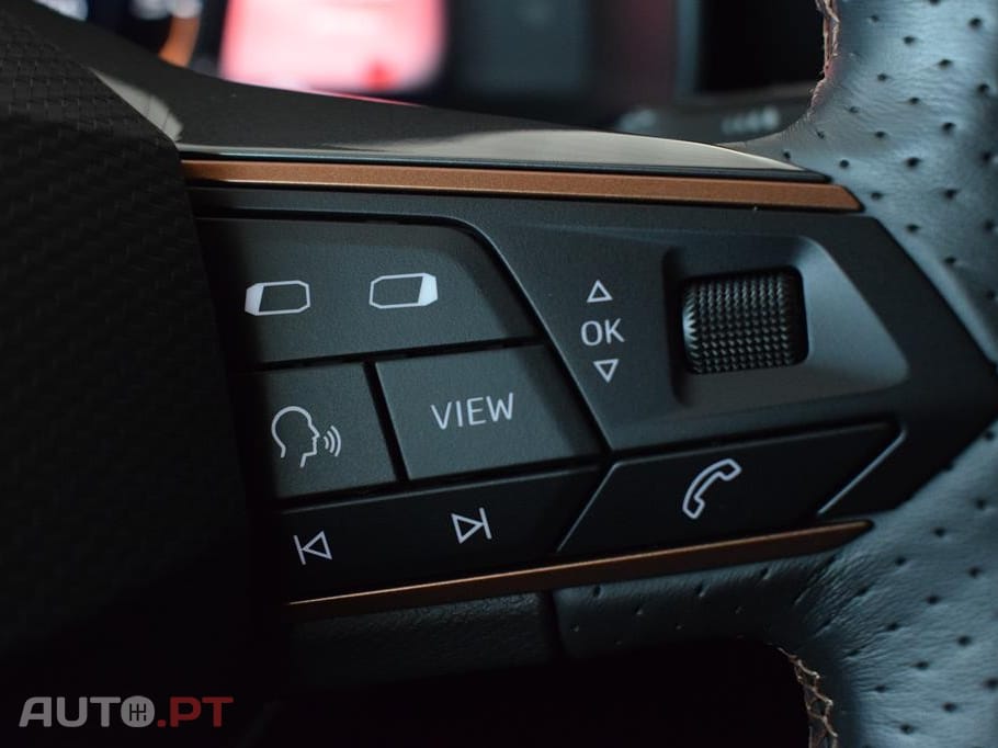 Cupra Formentor 2.0 TDI Sport