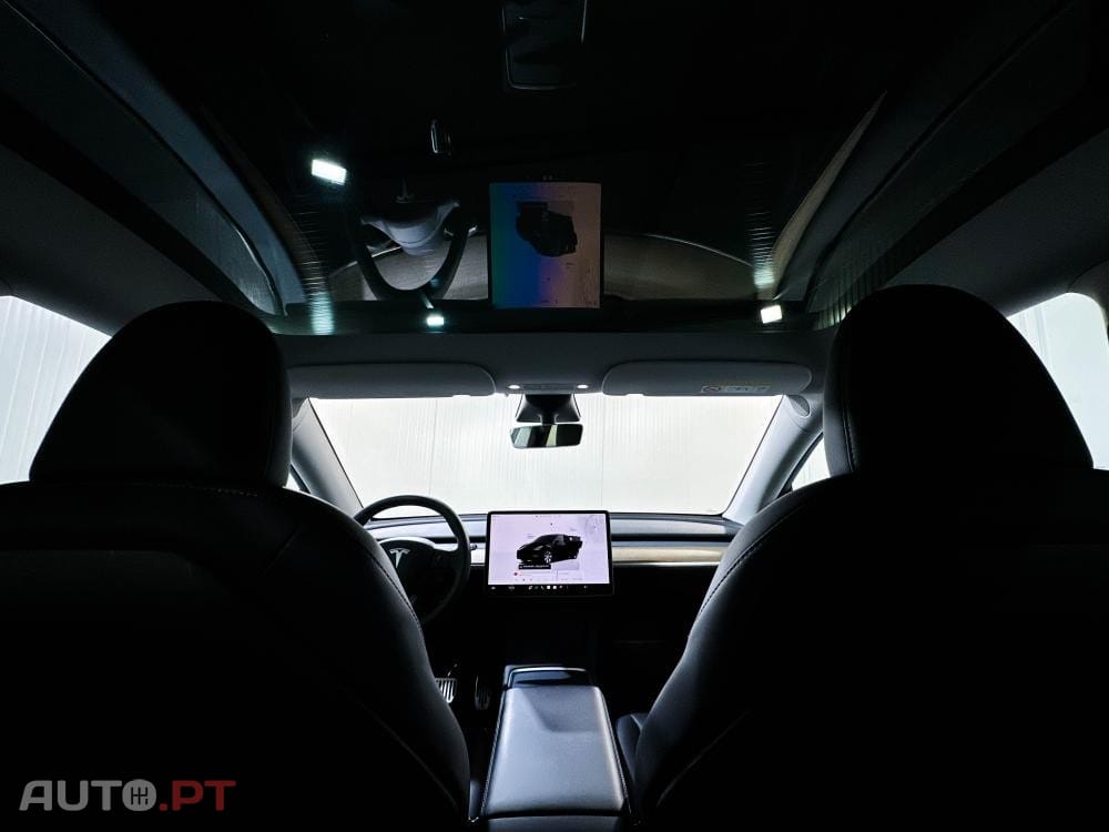 Tesla Model Y Standard