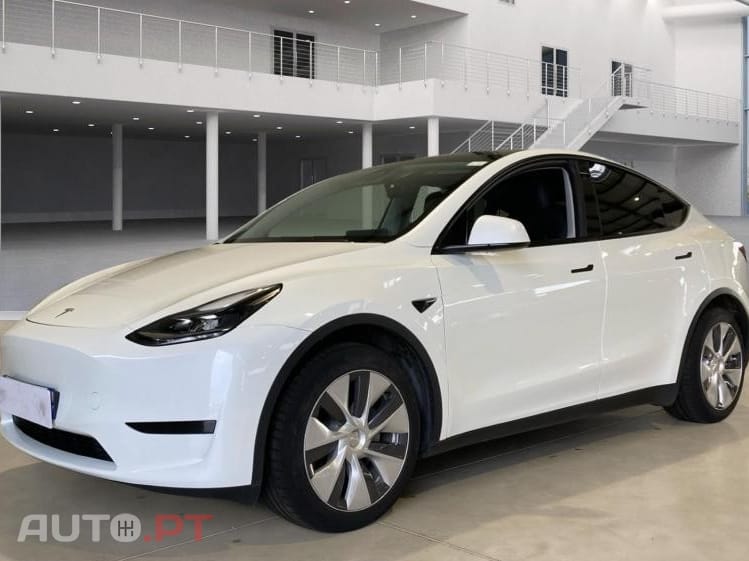 Tesla Model Y Standard