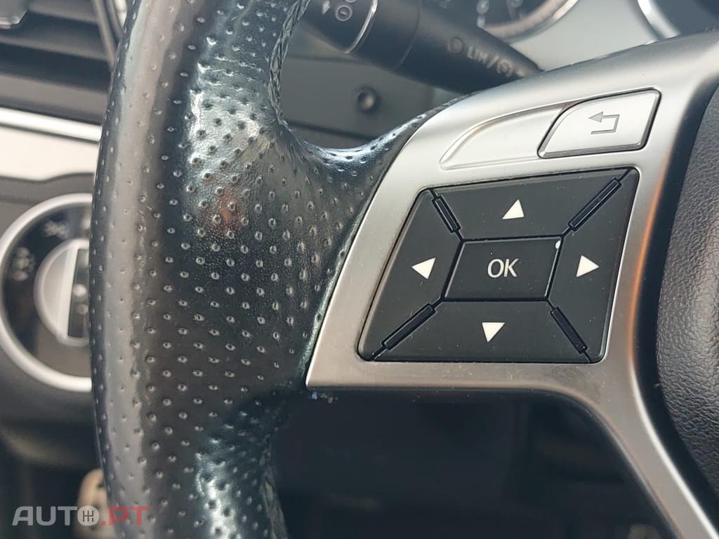 Mercedes-Benz E 220 CDI Avantgarde BlueEfficiency