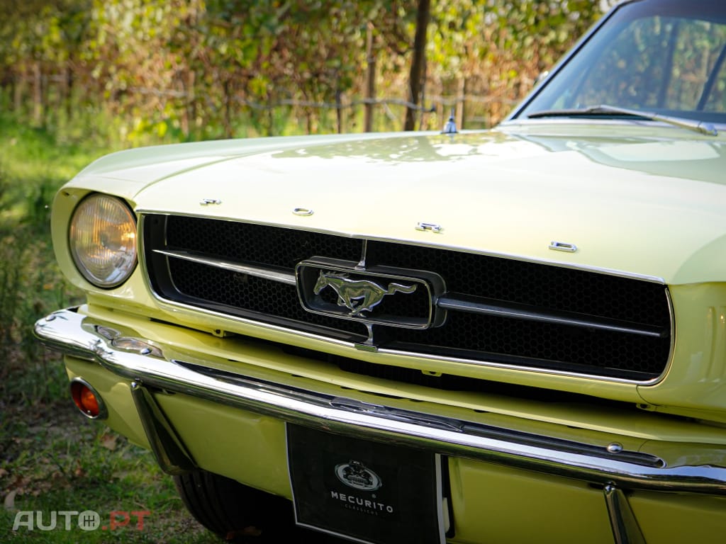 Ford Mustang 289 V8