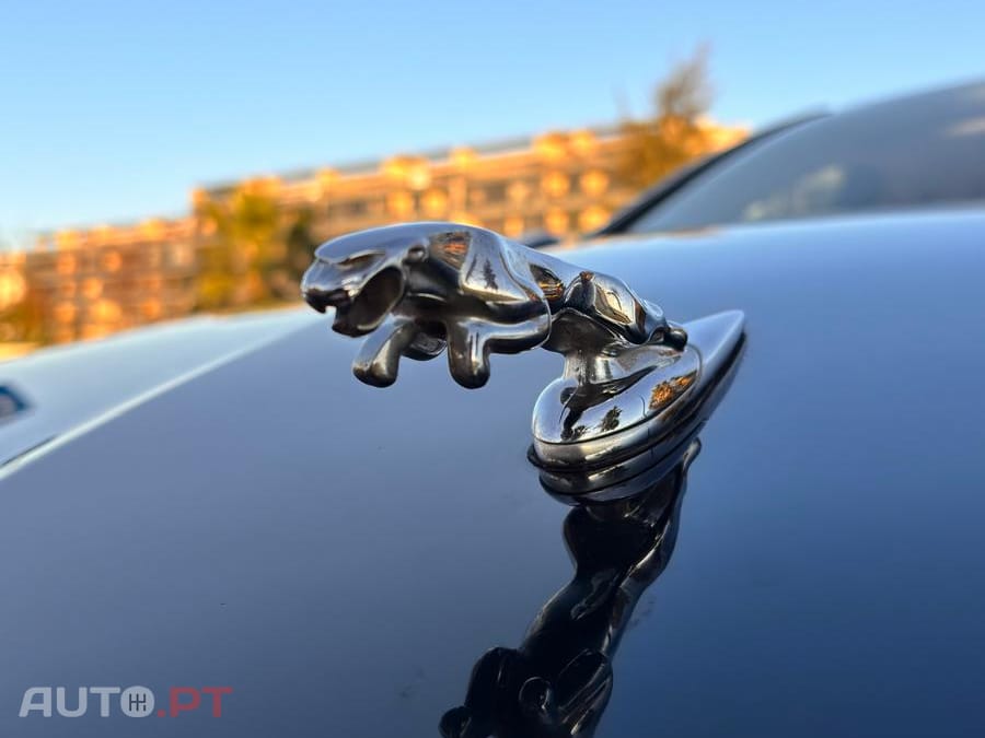 Jaguar XJ 3.0 v6 premium luxury