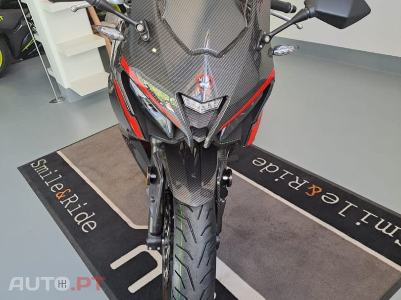 Mitt 125 GP CARBON
