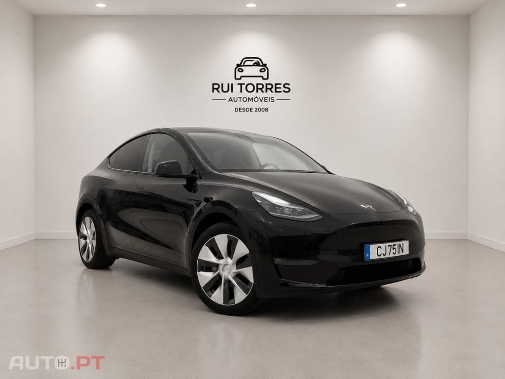 Tesla Model Y Long Range Dual Motor AWD