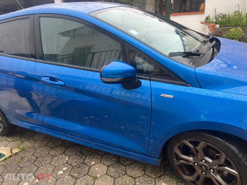 Ford Fiesta Eco-Bust